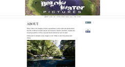 Desktop Screenshot of belowwater.com