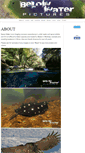 Mobile Screenshot of belowwater.com